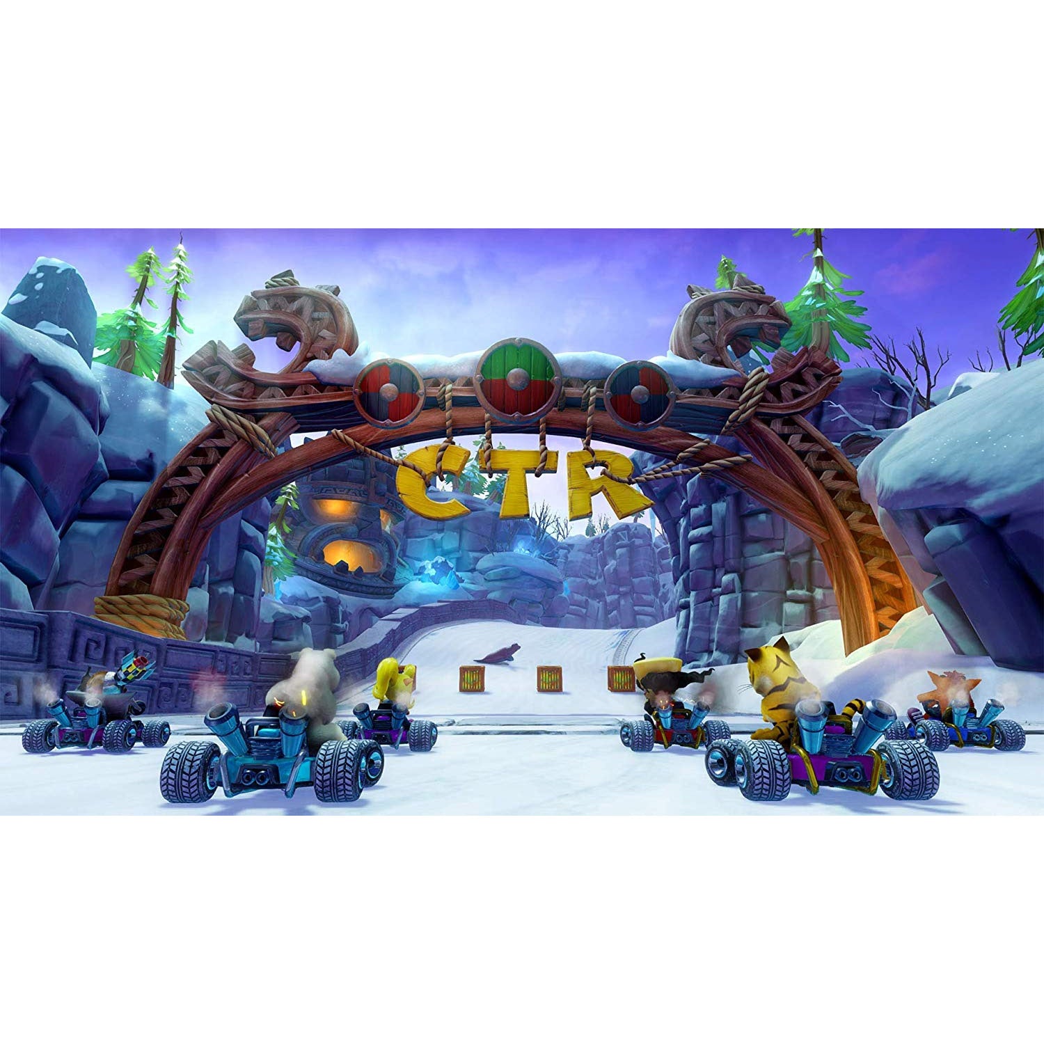 Crash Team Racing Nitro-Fueled (Nintendo Switch)