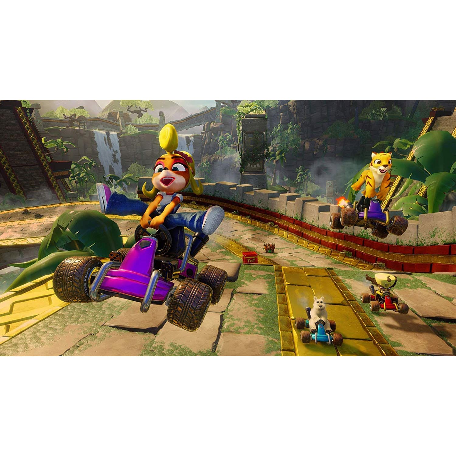 Crash Team Racing Nitro-Fueled (Nintendo Switch)